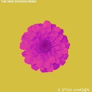 I Still Wonder (The New Division Remix)
