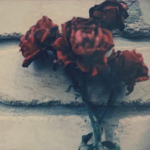 Dying in Your Arms - Single