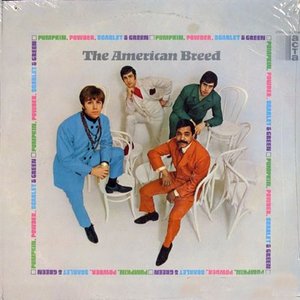 American Breed - Pumpkin, Powder, Scarlet & Green - Zortam Music
