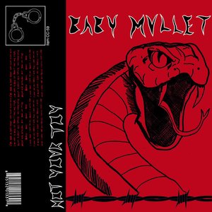 Not Your Toy - Single