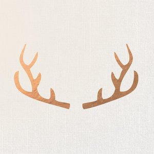 Deer Leader 的头像