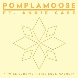 I Will Survive + This Love Mashup