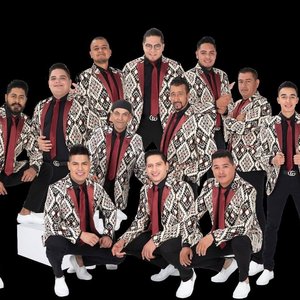 Awatar dla Banda Pequeños Musical