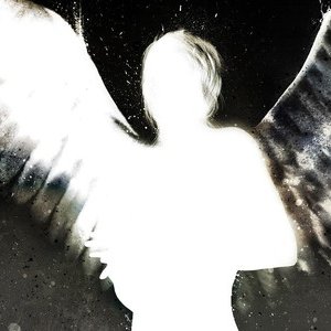 Zyblot 的头像