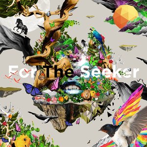 For the Seeker