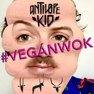 Vegán wok