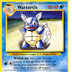 Wartortle St. Augustine