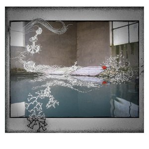 Bruno Fleutelot 的头像