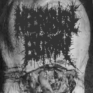 Necrobiose Escrotal 的头像