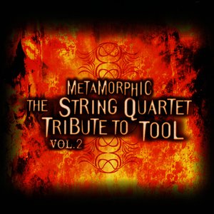 Metamorphic - The String Quartet Tribute To Tool,Vol. 2