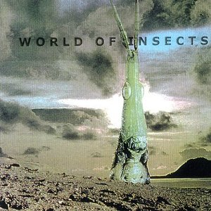 World Of Insects