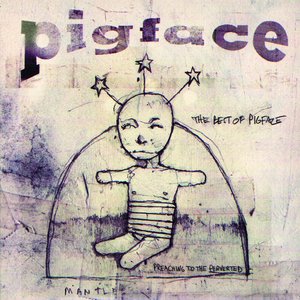 Image for 'The Best of Pigface: Preaching to the Perverted'