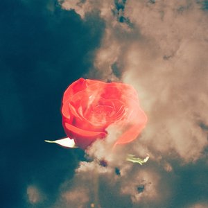 Paradise - Single