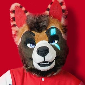 Corey Coyote 的头像