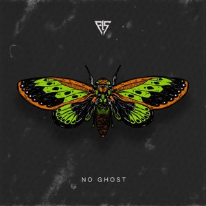 No Ghost (Cicada)