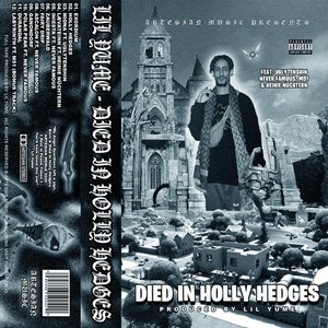DIED IN HOLLY HEDGES