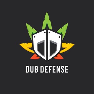 Image for 'Dub Defense'