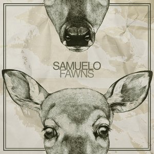 Fawns