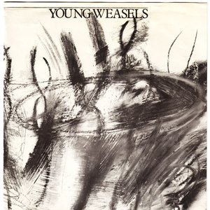 Young Weasels 的头像