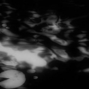 Avatar de BREEZEFORE