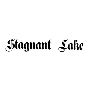 Stagnant Lake 的头像