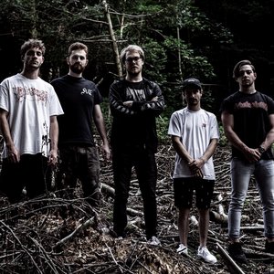 Excoriated 的头像