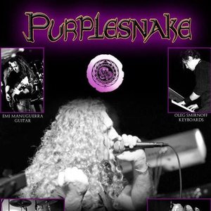 Image for 'Purplesnake'