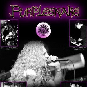 Bild för 'Purplesnake'