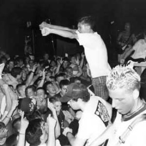 Bold のアバター