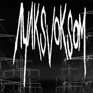Ayaksvoksom 的头像