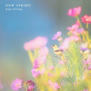 New Spring