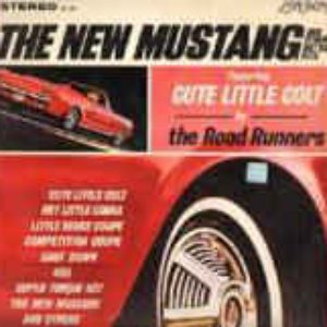 The New Mustang
