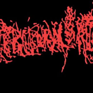 The Intercrural Rigor Mortis 的头像