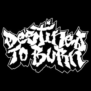 Destined To Burn 的头像