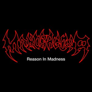 Reason in Madness - Single