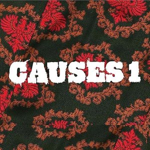 Causes 1