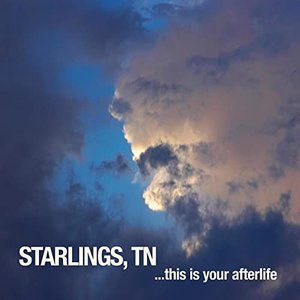 This Is Your Afterlife (Digital Version)