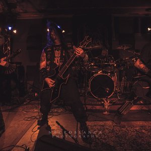 Pious Levus のアバター