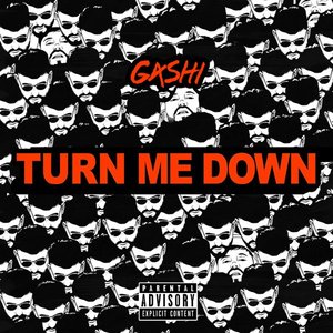 Turn Me Down - Single