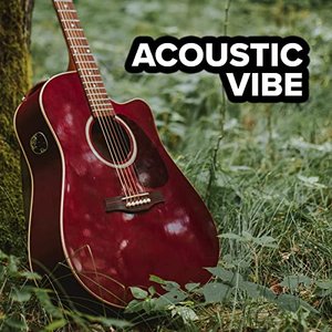 Acoustic Vibe