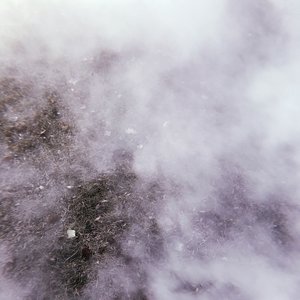 C. S. M. (feat. When Stars Attack) - Single