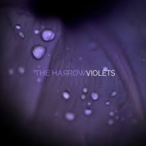 Violets - Single