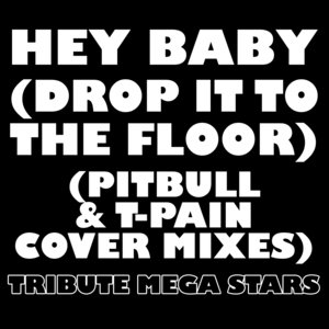 Hey Baby (Drop It To The Floor) (Pitbull & T-Pain Cover Mixes)