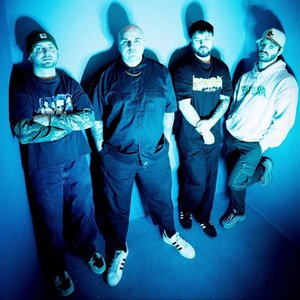 Avatar for Lucky You