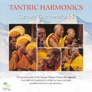 “Tantric Harmonics”的封面