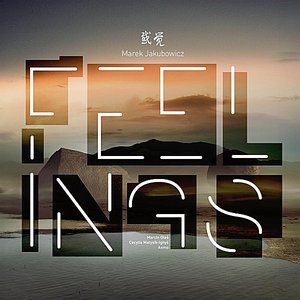 Feelings