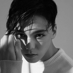 “버논 (Vernon)”的封面