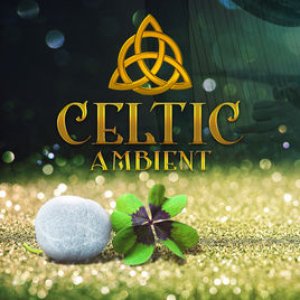 Avatar for Celtic Chillout Relaxation Academy