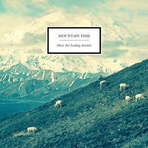 Music For Looking Animals
