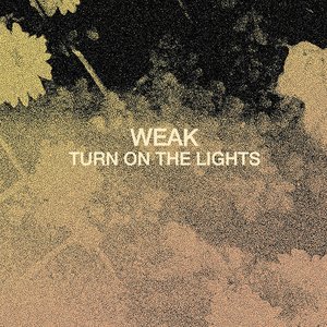 Turn On The Lights